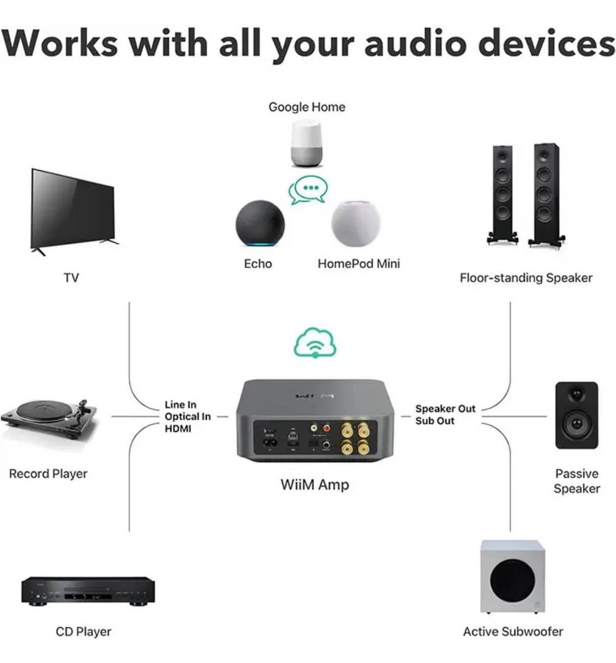 WiiM Amp Multiroom Streaming Amplifier - photo 4