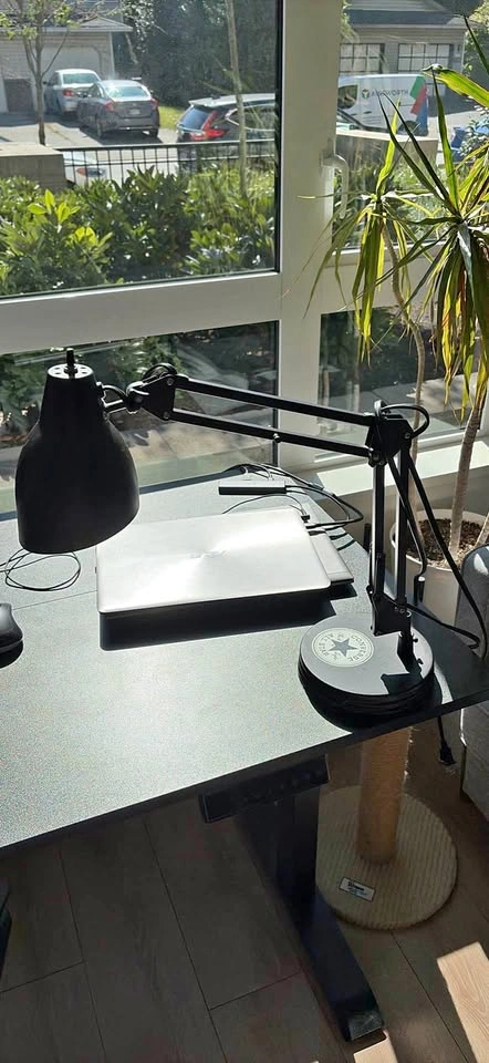 Metal swing arm desk lamp