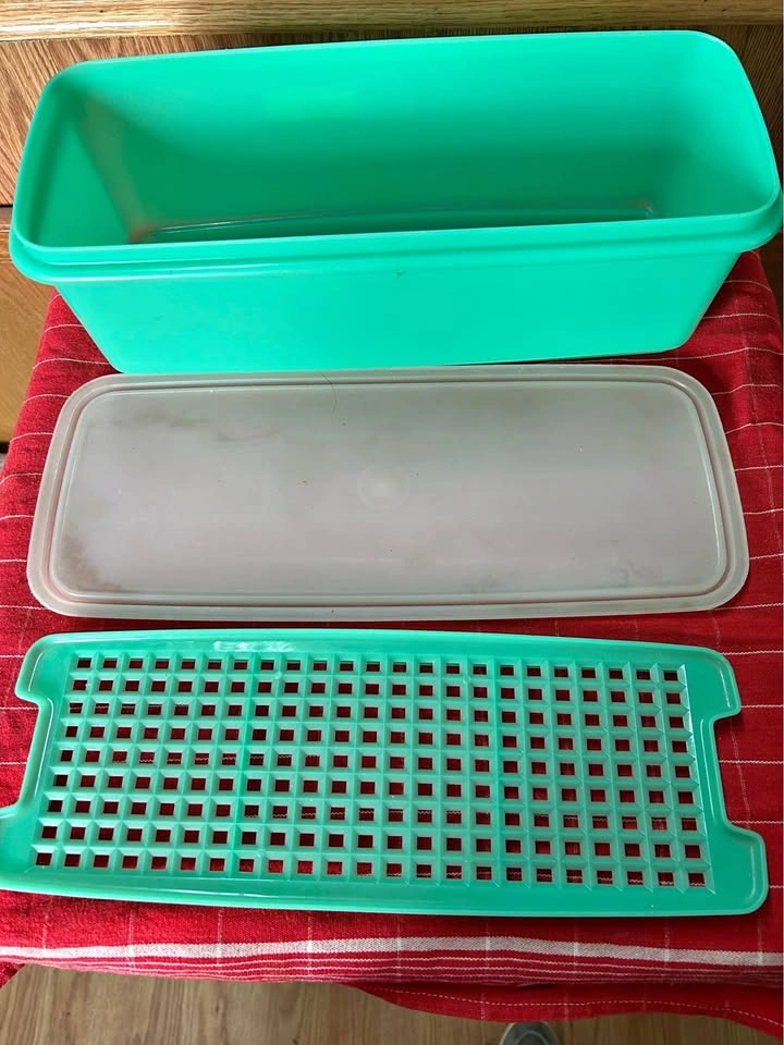 Tupperware Celery Container