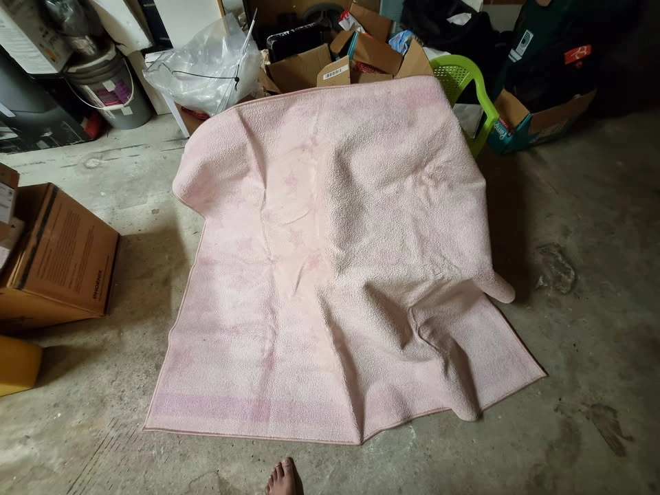 Living Room Floor - photo 2