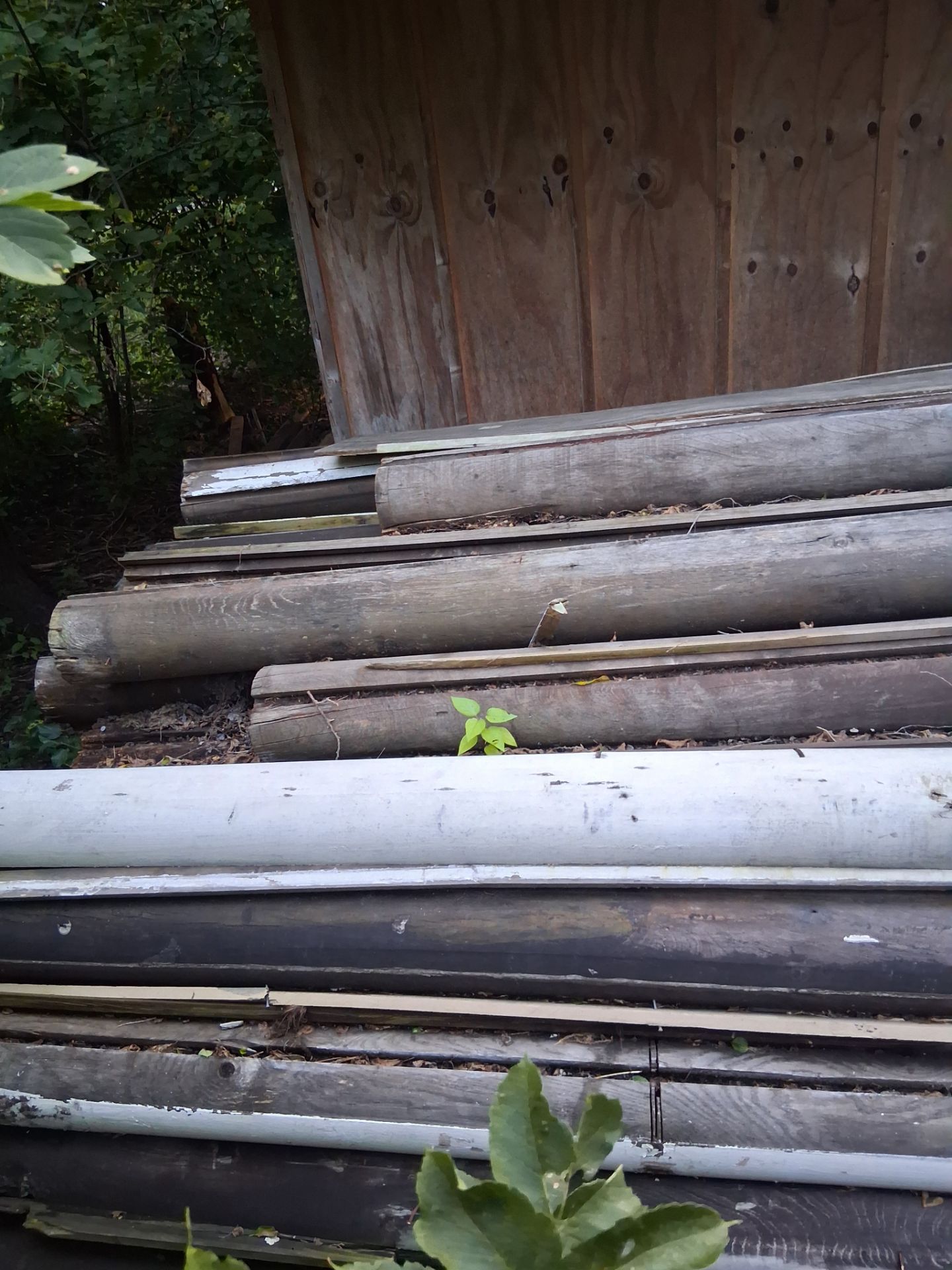 Log cabin logs - photo 3