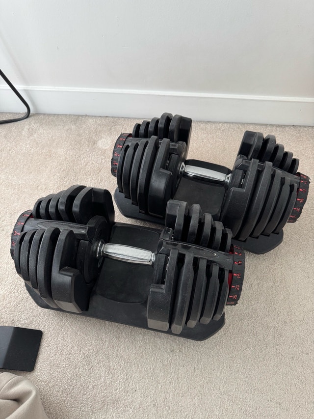 Adjustable dumbbell set (10lbs-90lbs)
