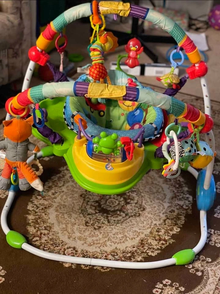 Good Baby Einstein Neighborhood Friends Activity Jumper - photo 3