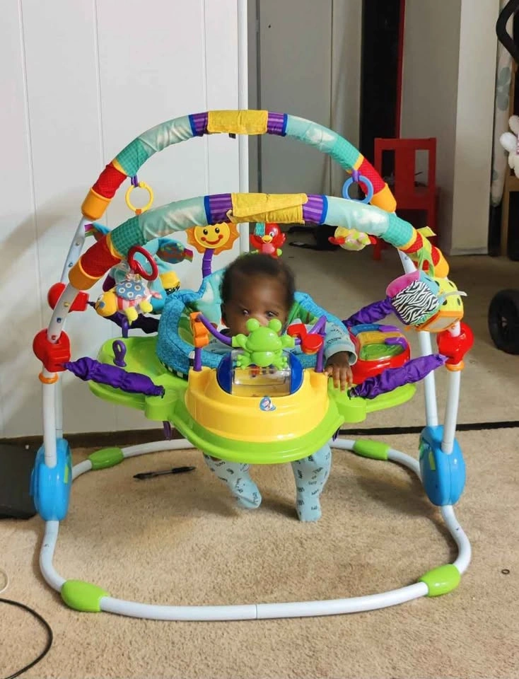 Good Baby Einstein Neighborhood Friends Activity Jumper - photo 4