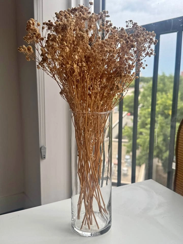 Dried baby’s breath in glass vase