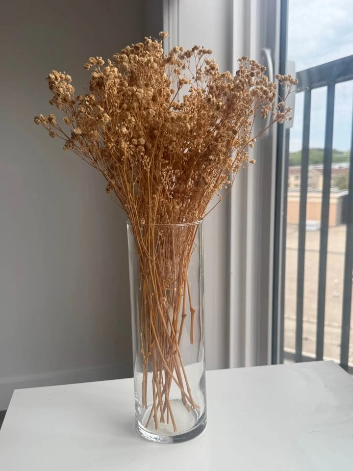 Dried baby’s breath in glass vase - photo 2
