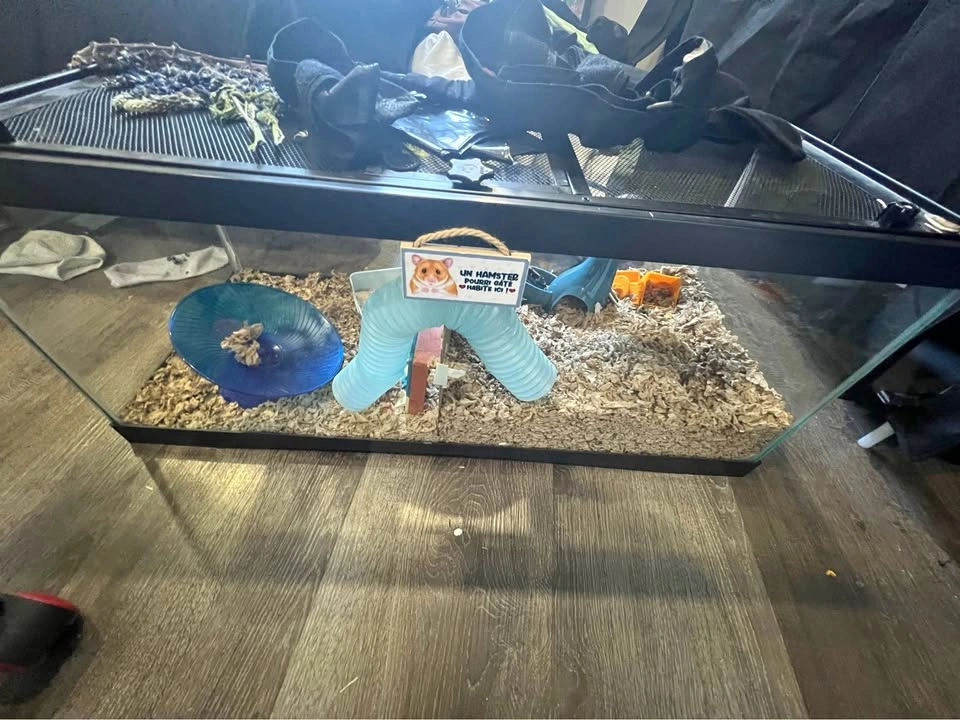 Hamster cage