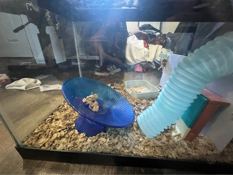 Hamster cage - photo 2