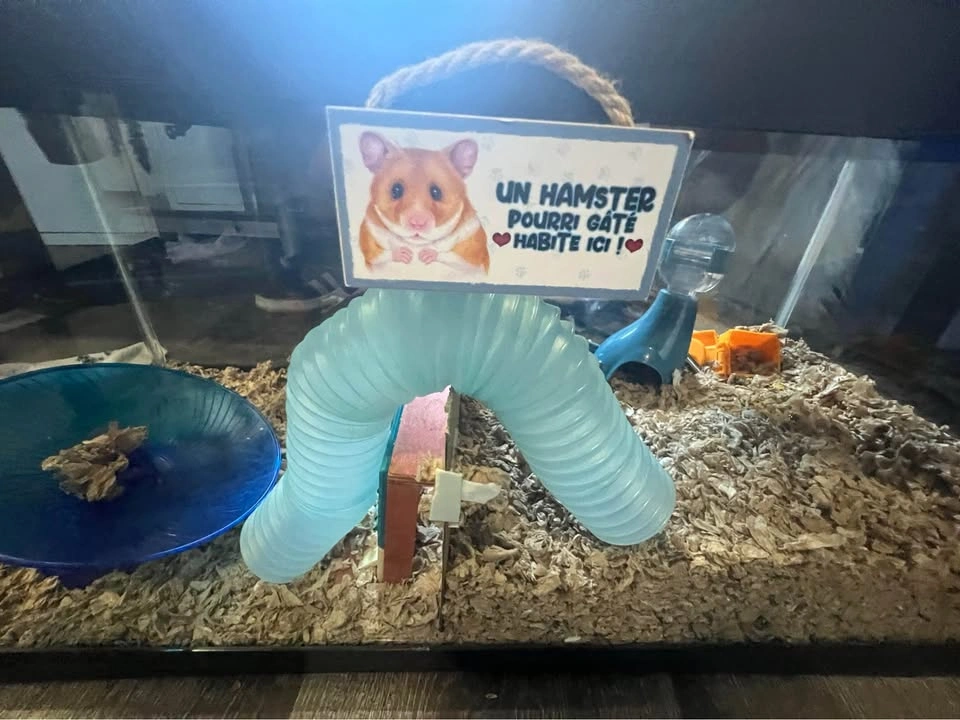 Hamster cage - photo 3
