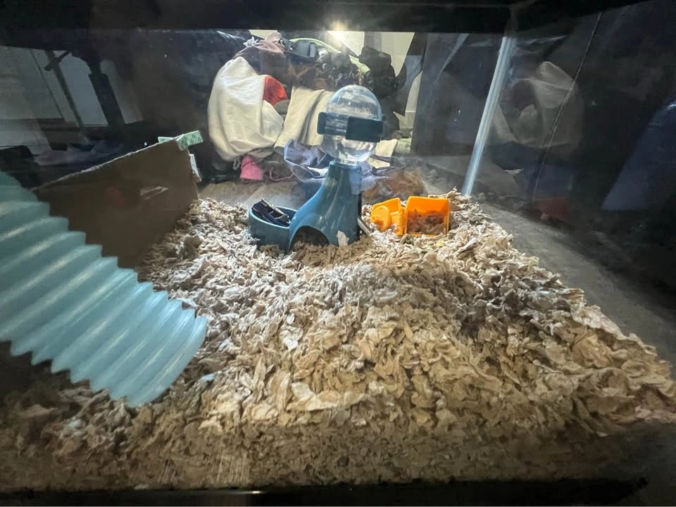 Hamster cage - photo 4