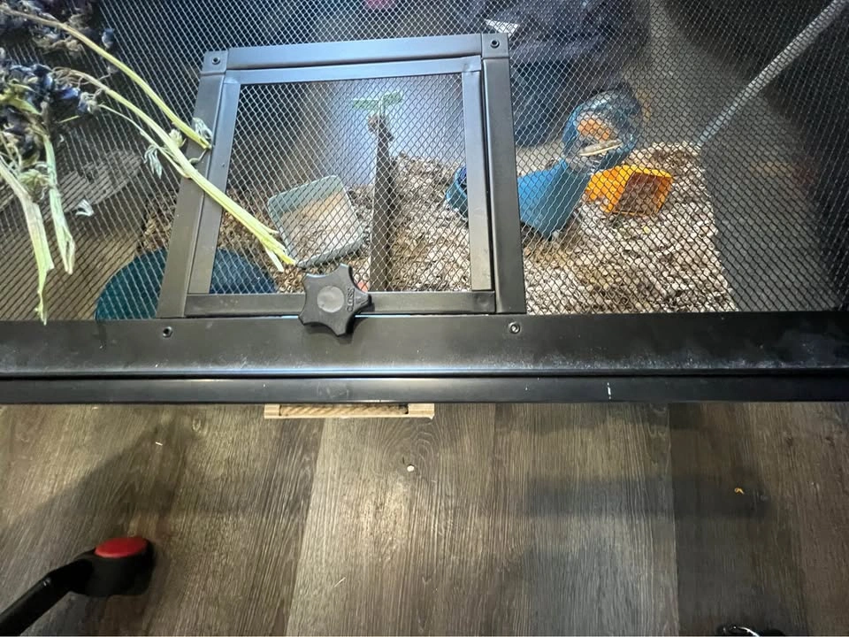 Hamster cage - photo 5