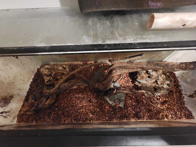 Lots of aquarium stuff - photo 2