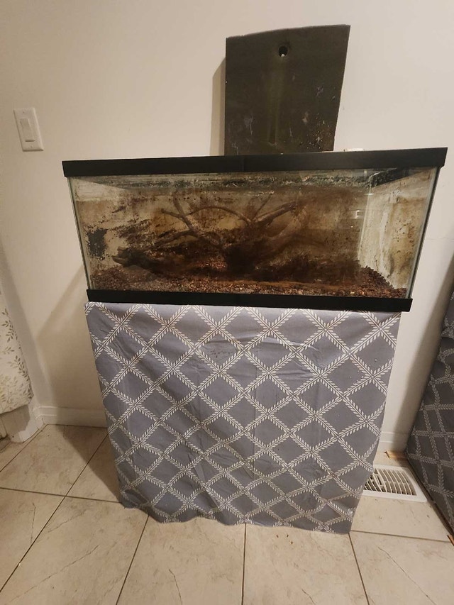 Lots of aquarium stuff - photo 3