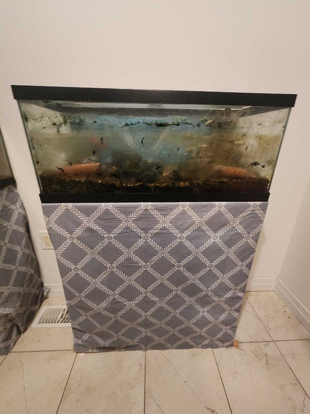 Lots of aquarium stuff - photo 4