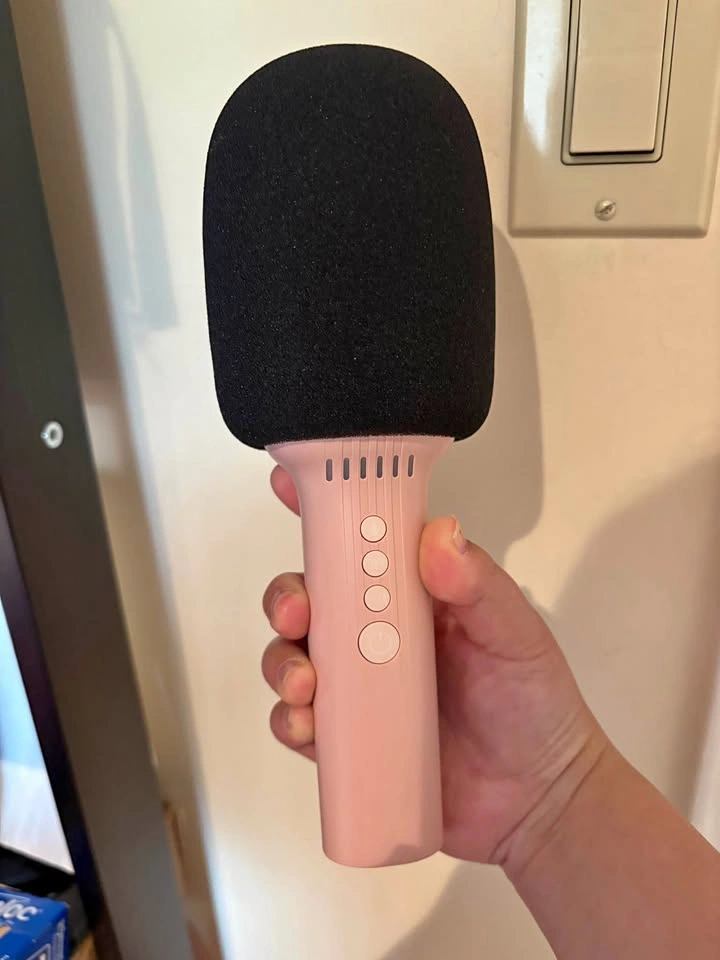 Microphone