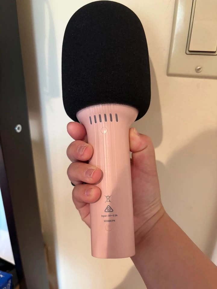 Microphone - photo 2