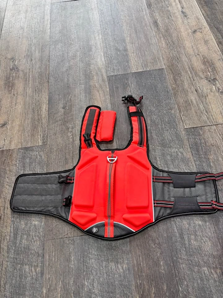 Dog Life jacket