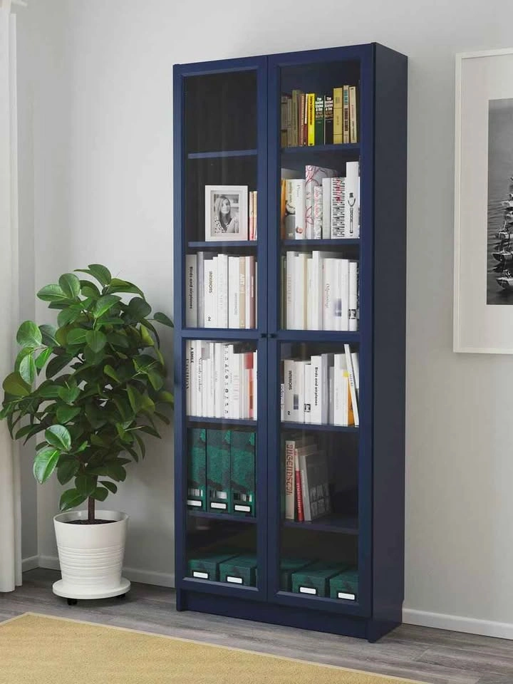 Storage closet/ Book shelf with glass doors, dark blue