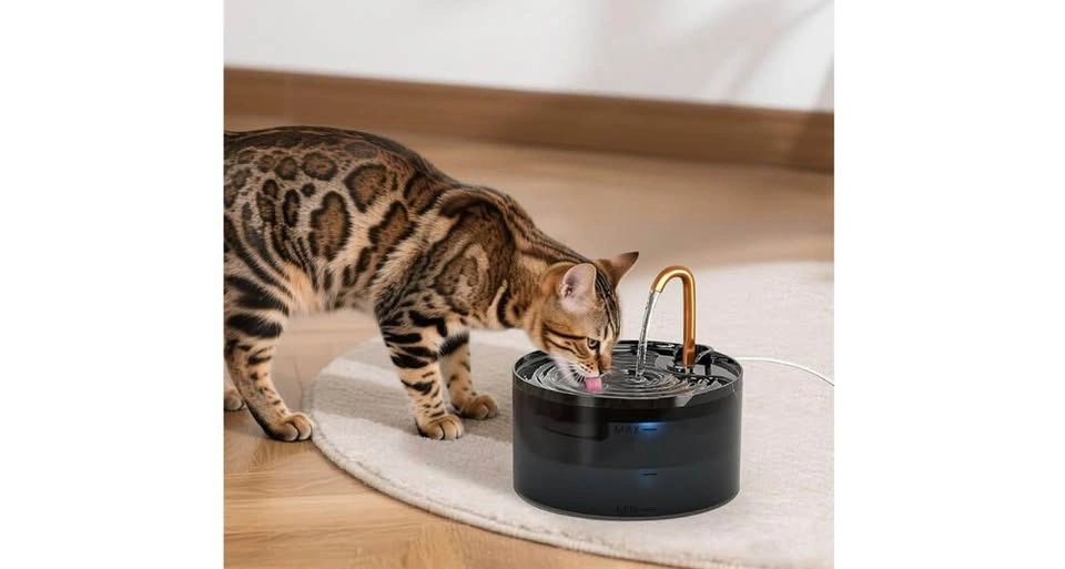 BN- Cat water fountain - photo 4