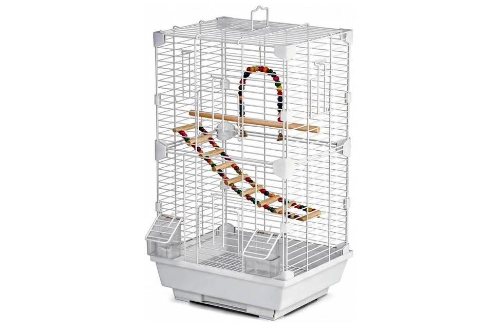 New bird cage