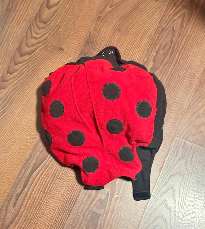 LADYBUG COSTUME (infant)