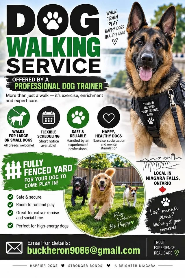 Dog walking by Professional trainer