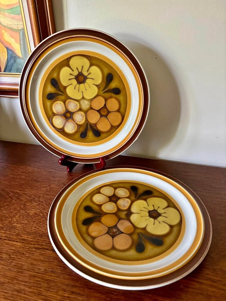 Vintage Baycrest Doral Brown Stoneware Dinner Plates 10.5 Inch P