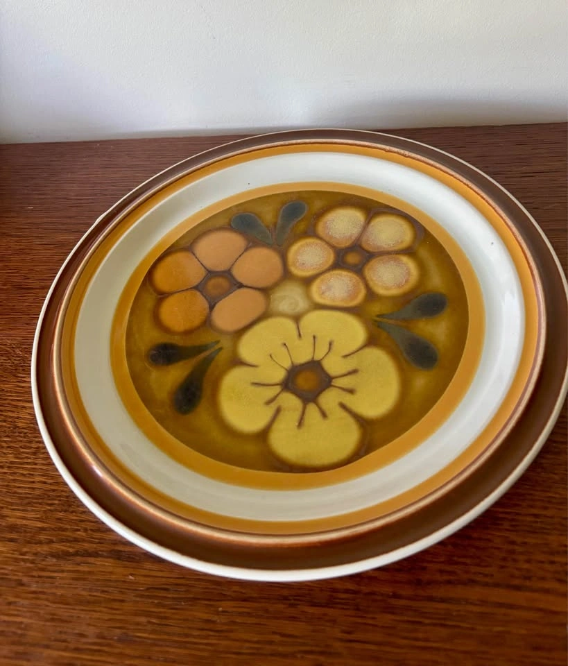 Vintage Baycrest Doral Brown Stoneware Dinner Plates 10.5 Inch P - photo 2