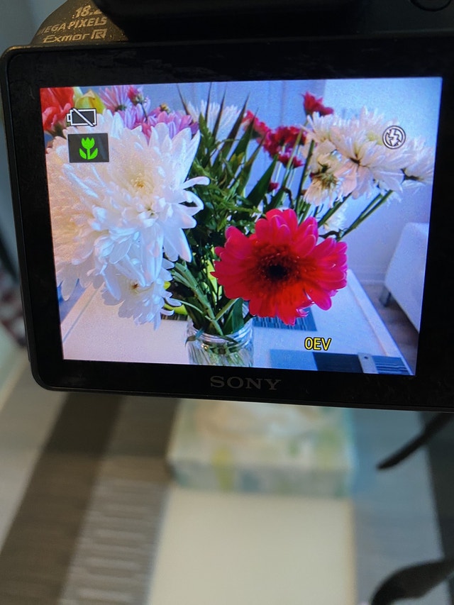 Sony Sybershot handycam - photo 2