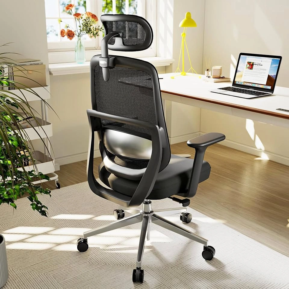 Ergonomic Office Chair – Adjustable Lumbar Support, Mesh Back, B