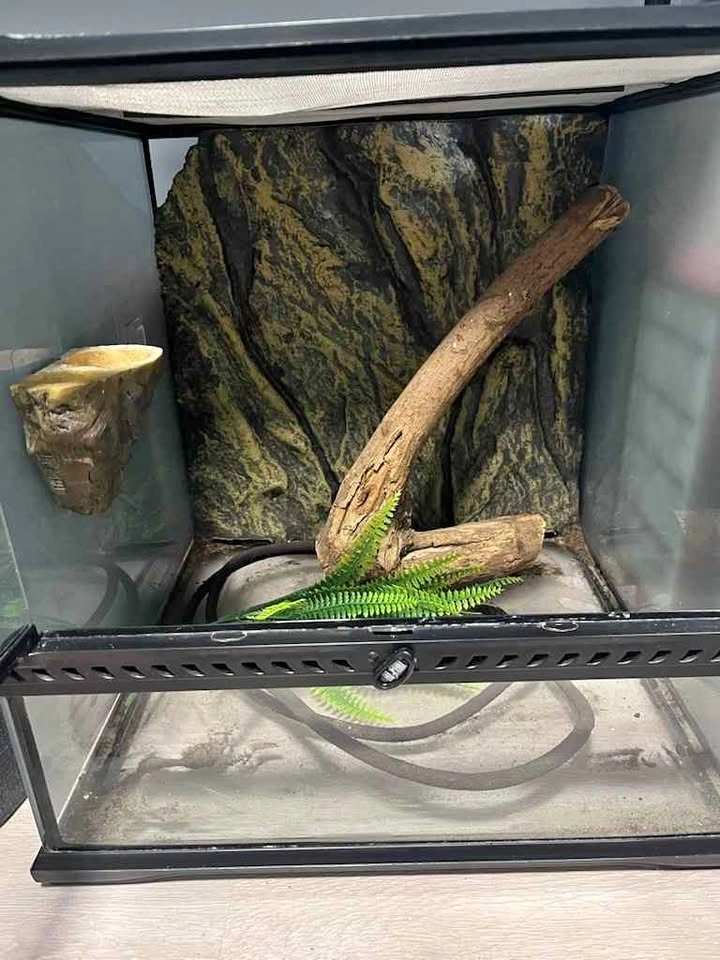 Terrarium, reptile/pet enclosure