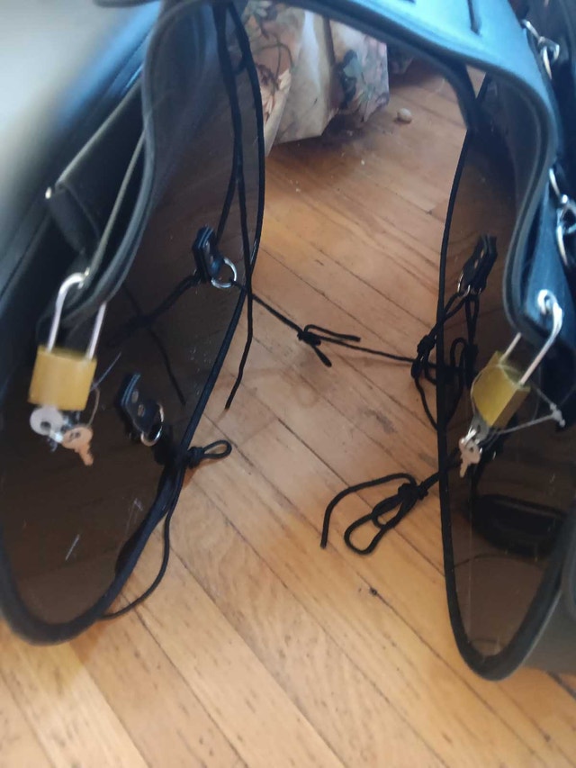 motorcycle saddle bags - photo 2