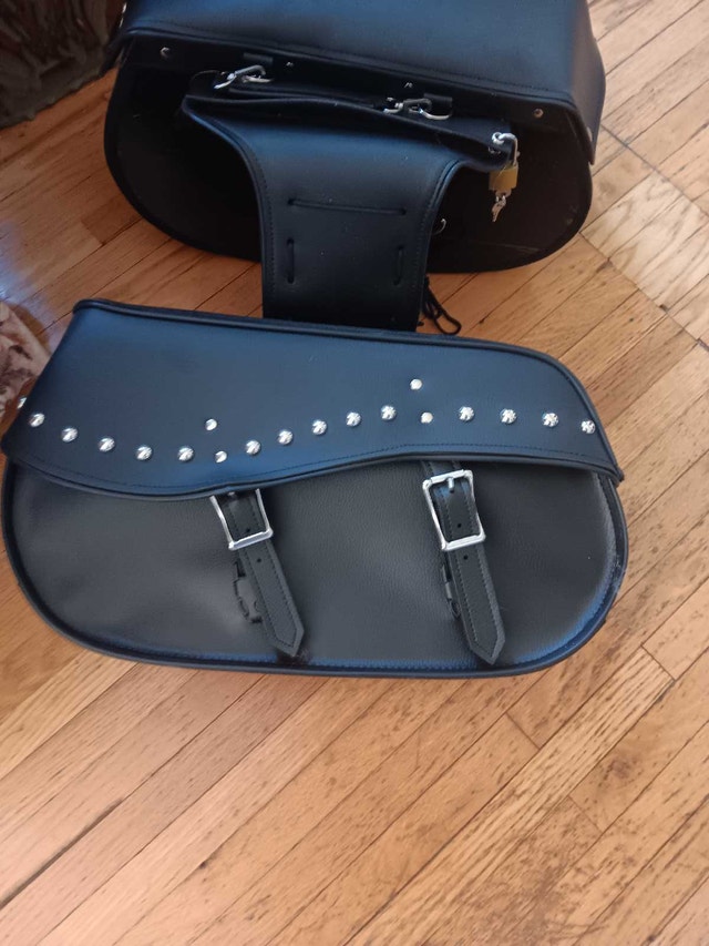 motorcycle saddle bags - photo 3