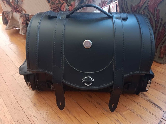 Viking trunk bag