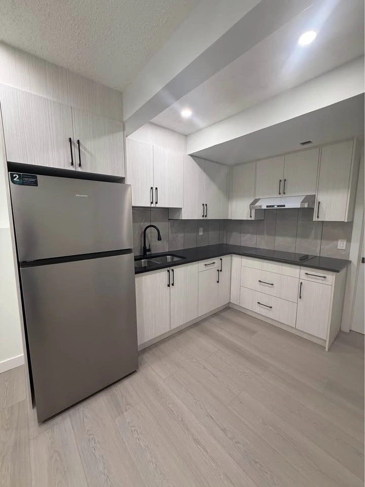 Newly Renovated Basement Suite in Martindale - photo 4