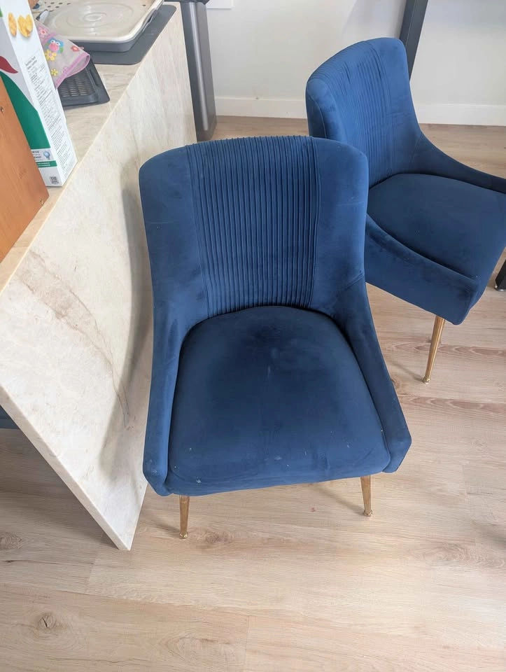 Everly Quinn Upholstered Side Chairs - Set of 2 - photo 2