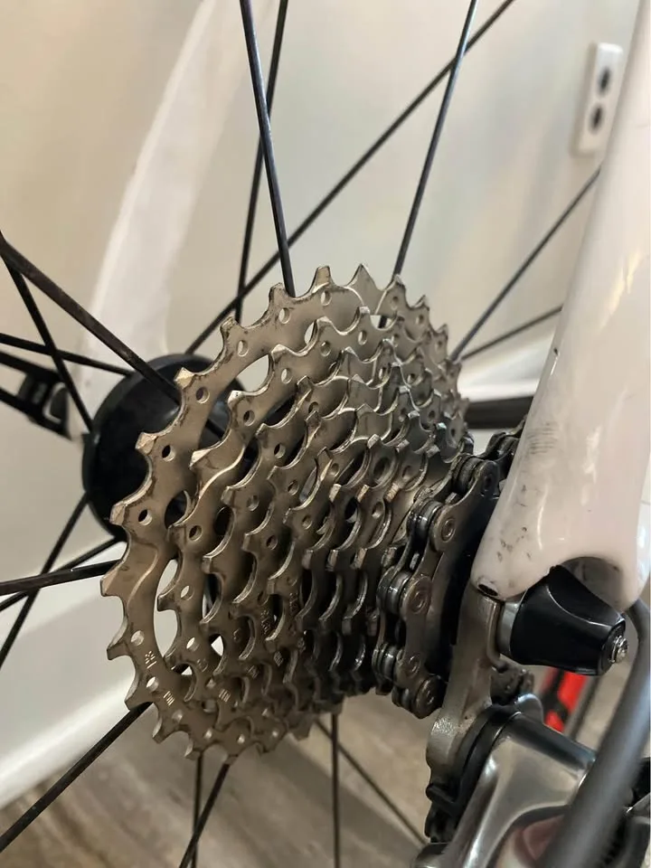 LITESPEED C1 CARBON - LARGE image indicator(4)