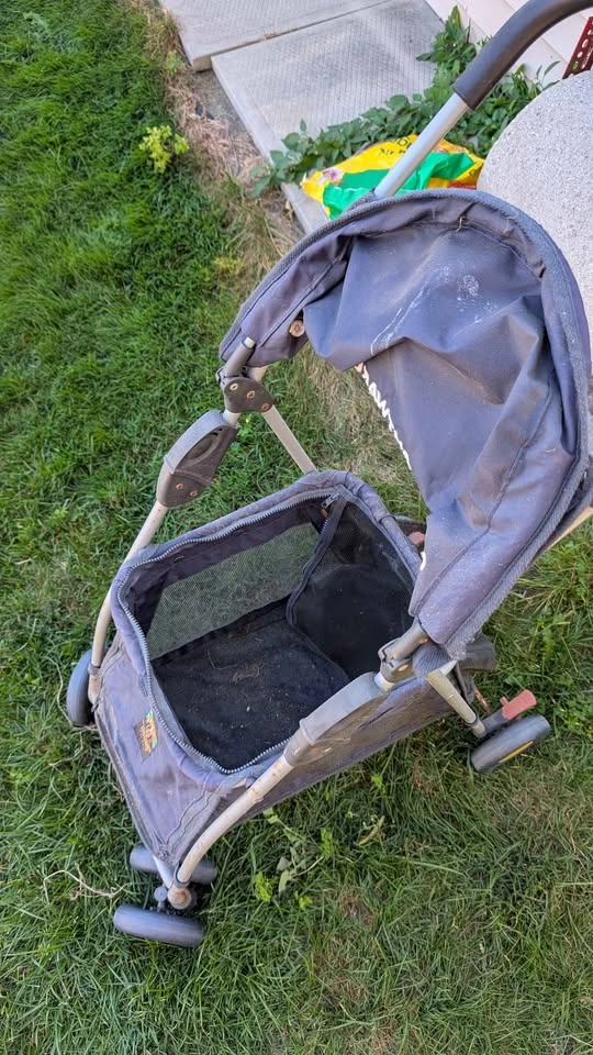 Outward Hound Dog/Pet Stroller - photo 4
