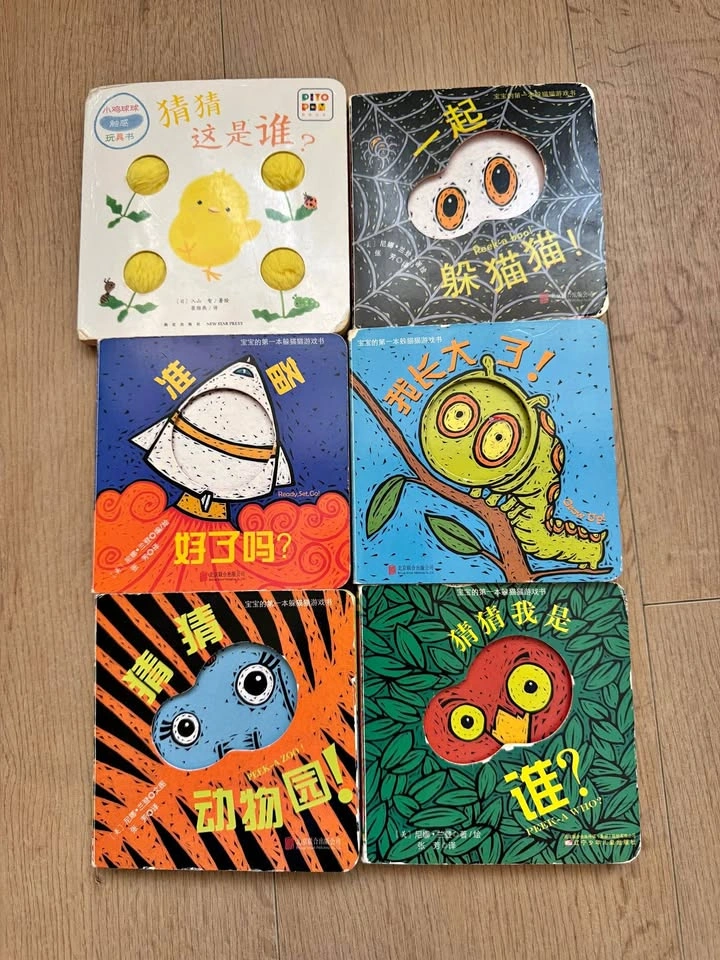 Nina Laden Peek-a-Who Series Chinese Board Books - Set of 6