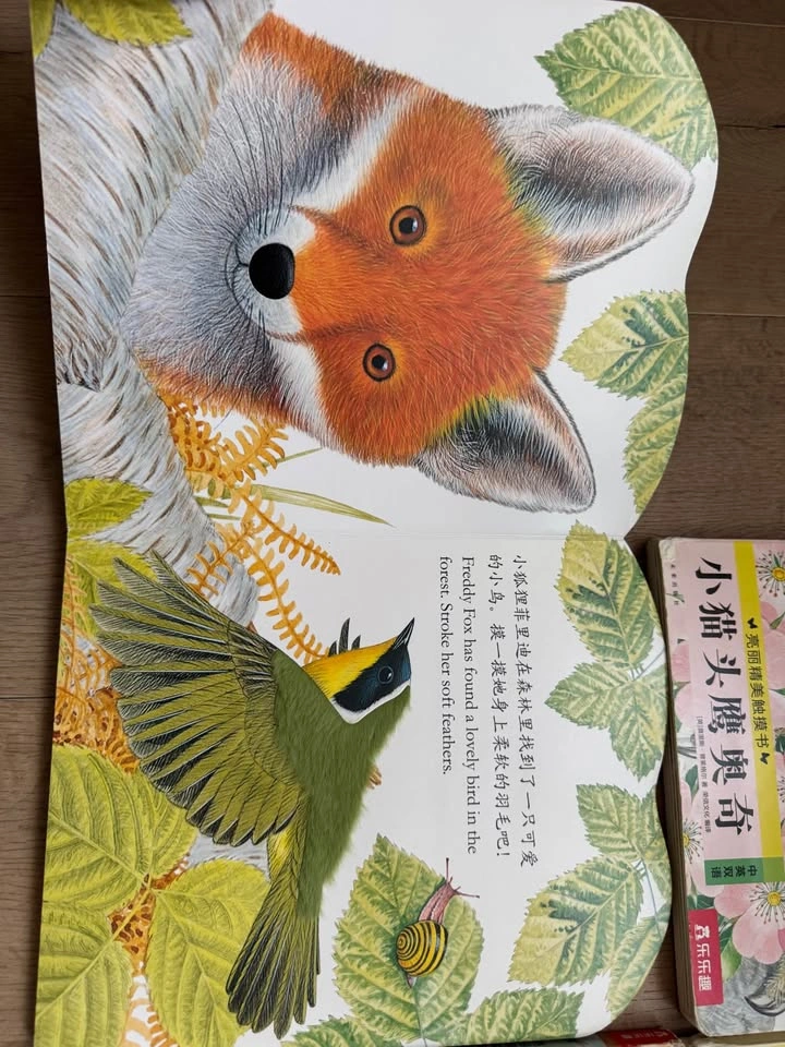 Bilingual Children's Touch and Feel Board Books - Set of 4 - photo 2
