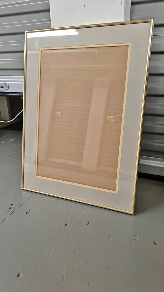Gold frame wall art, picture frame 20x26"