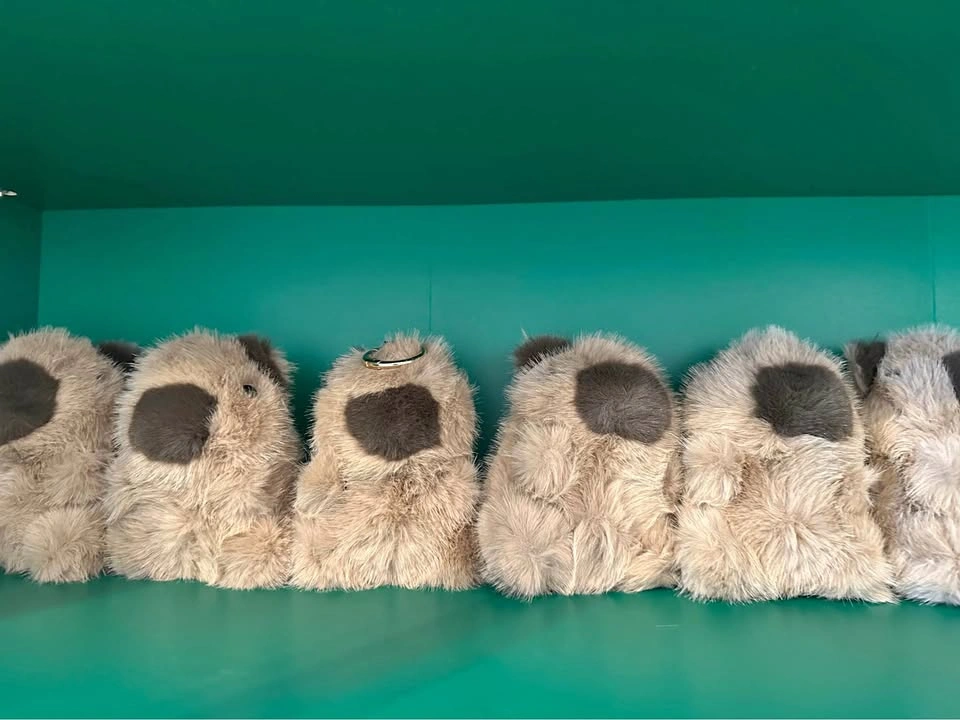 Capybara Plush Toys -$10 Each