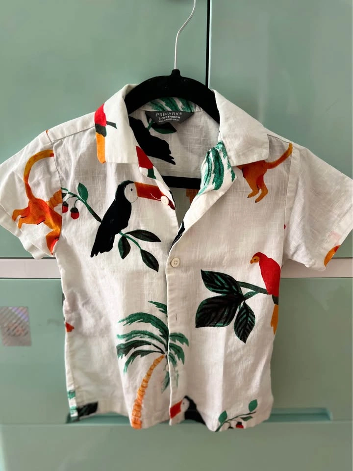 Toddler Boy Button-Up Shirts Bundle Size 2T-4T Primark - photo 3