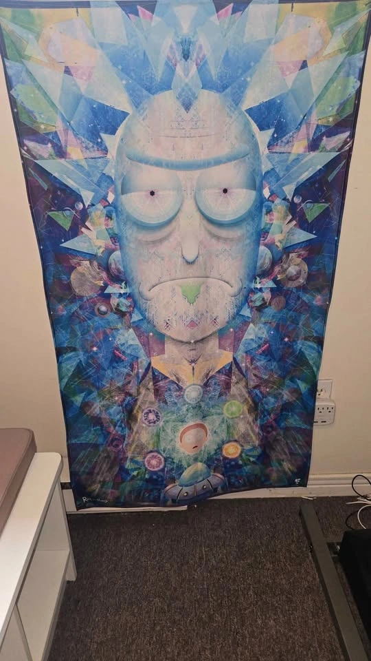 Rick and Morty drape