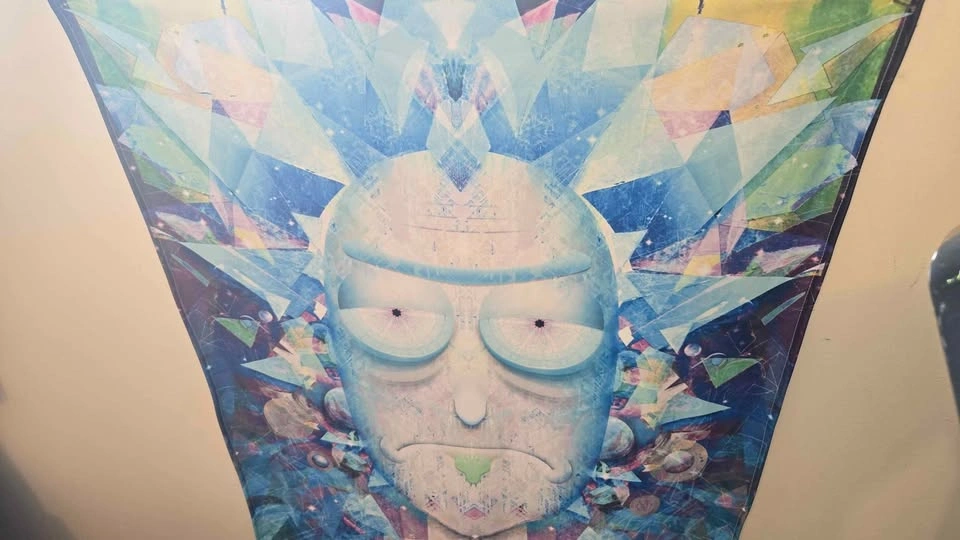 Rick and Morty drape - photo 2