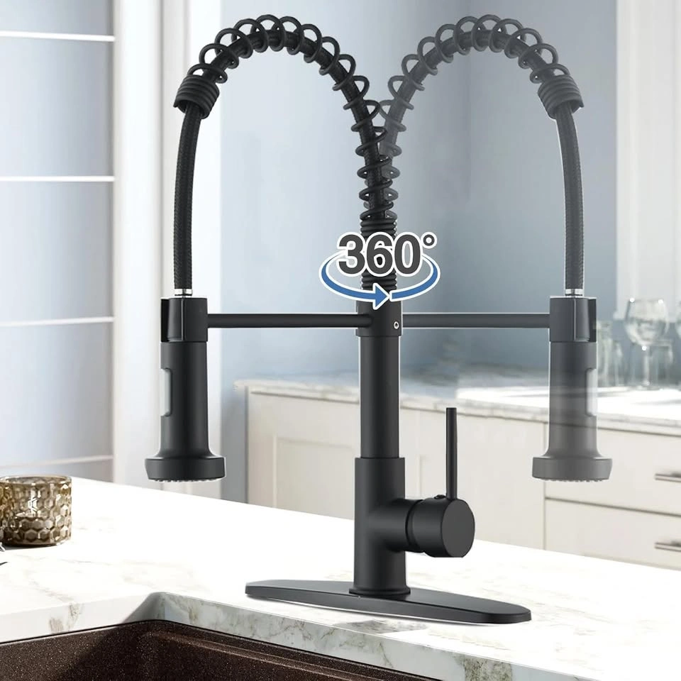 Matte Black Kitchen Faucet with Pull-Down Sprayer - photo 2