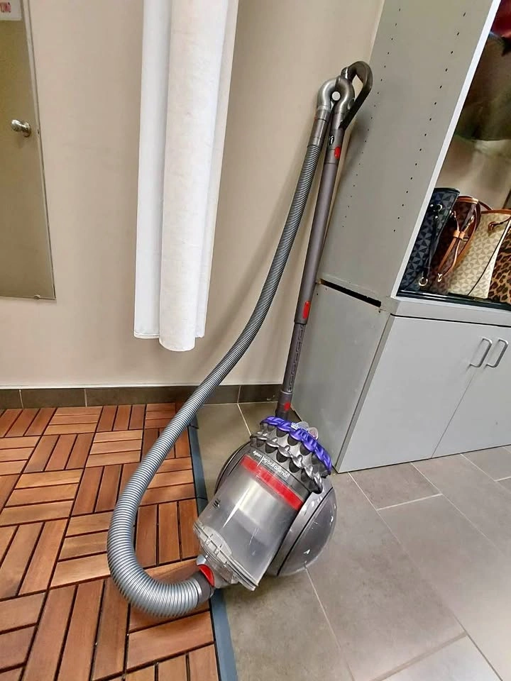 Dyson Big Ball Canister Vacuum