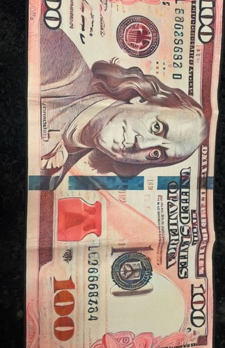 Pink One Hundred Dollar Bill Rug - photo 2