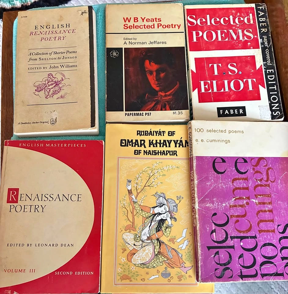 Vintage Poetry Book Bundle (T.S. Eliot, E.E. Cummings, Yeats & M