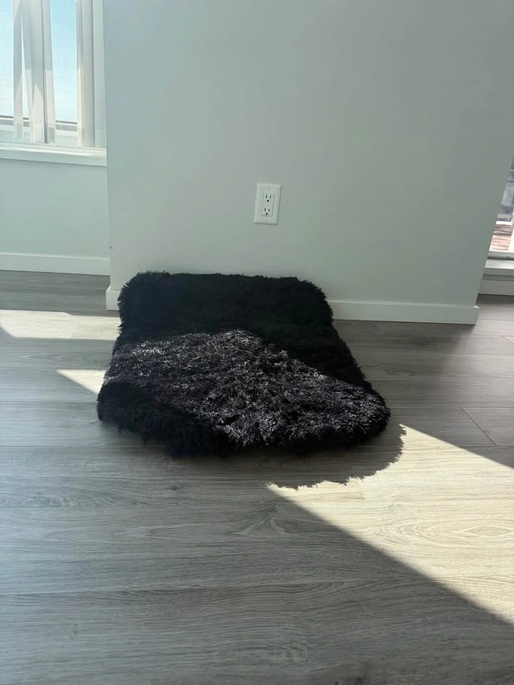 Sofa-Style Pet Bed – $20 each (or 2 for $35, save $5!) - photo 3
